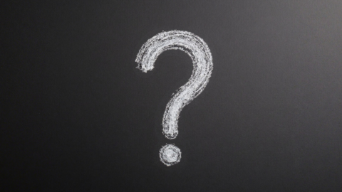 Dialogic questions